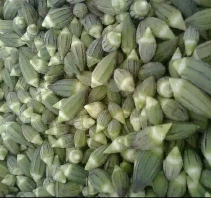 Frozen okra pods IQF premium quality carefully selected and processed to preserve natural color texture and flavor ideal for export and bulk supply to international markets